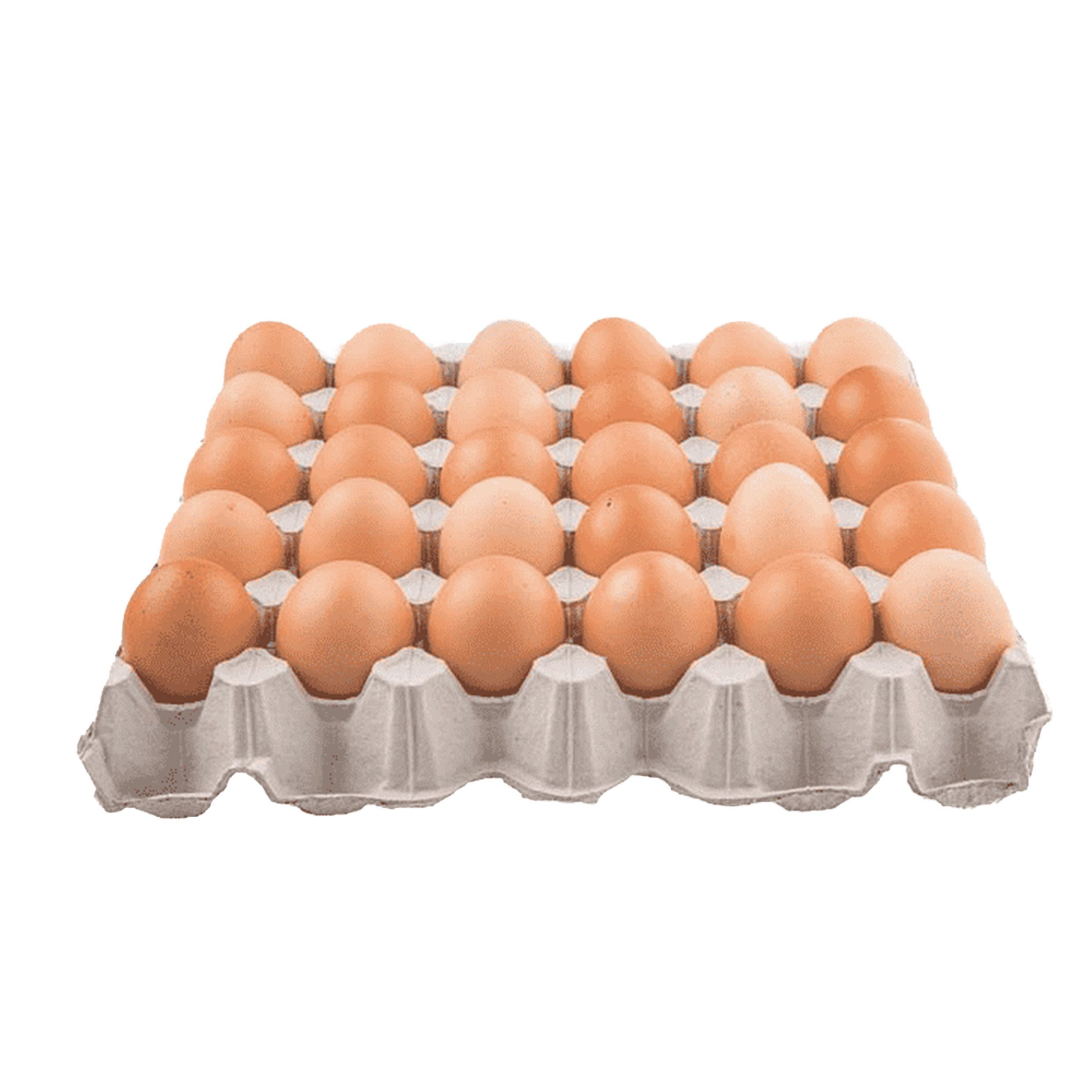 Palette d'oeufs