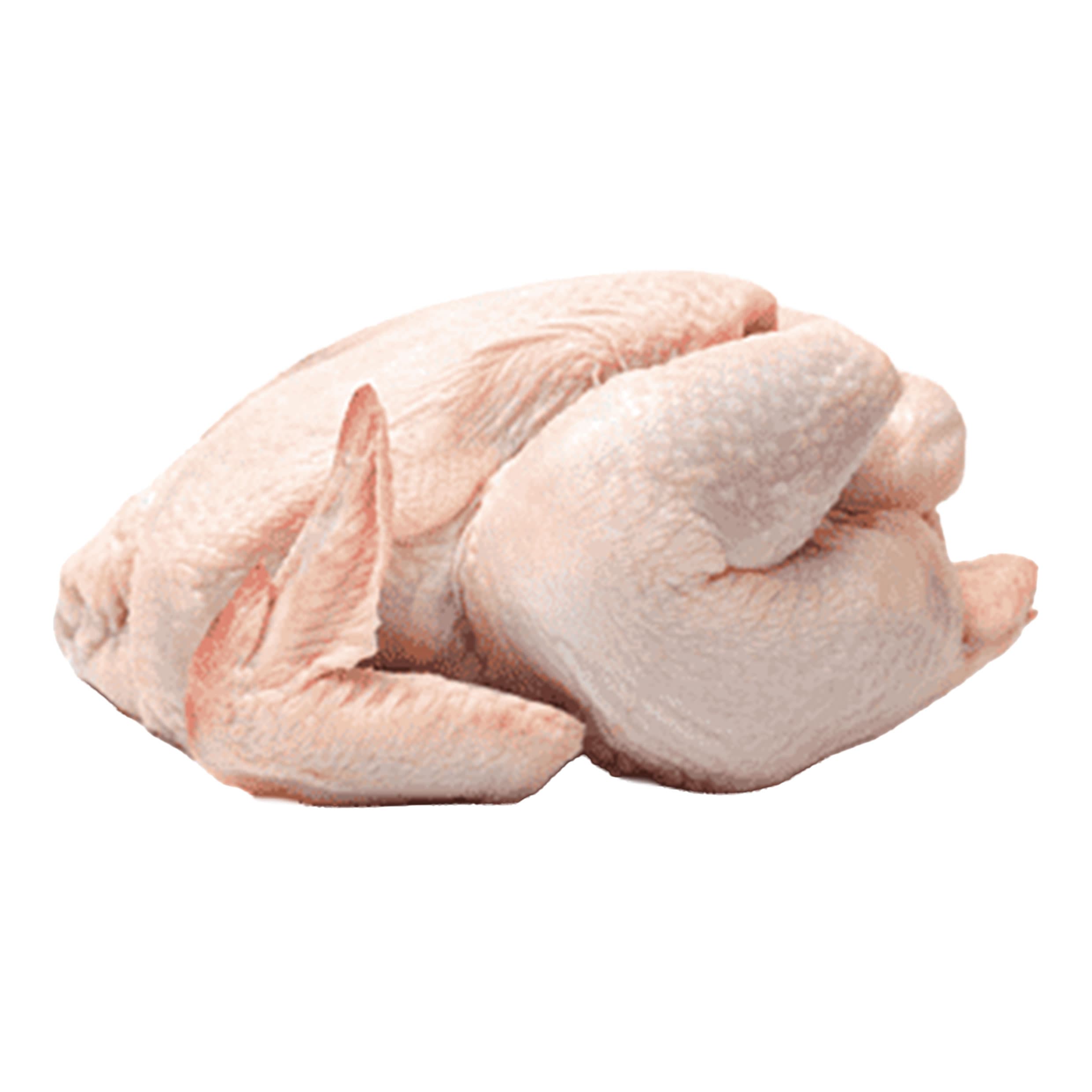 Poulet de chair
